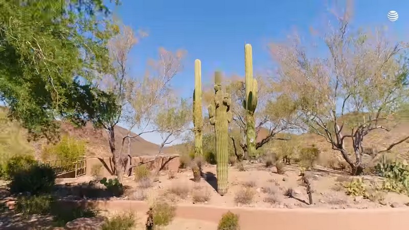 180430-05-at-t-5g-cacti.jpg